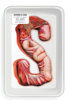 s (ebook)-koji suzuki-9781939130495