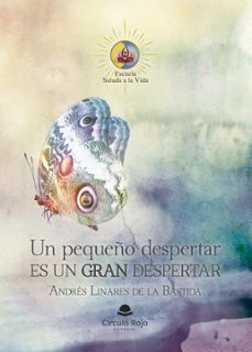 un pequeño despertar, es un gran despertar (ebook)-9788411893695