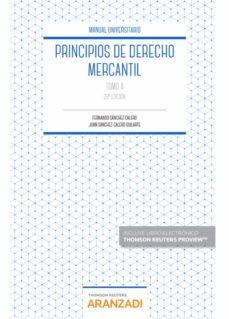 principios de derecho mercantil (tomo ii)-9788413089195