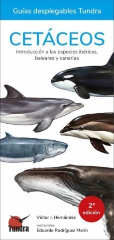 cetaceos. introduccion a las especies ibericas, baleares y canari as-victor j. hernandez-9788418458095