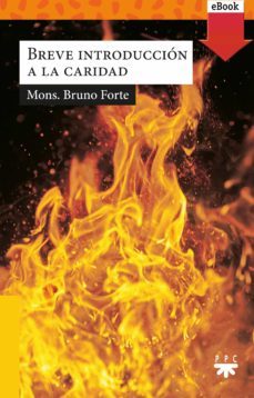 breve introduccion a la caridad (ebook)-9788428832595