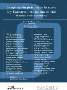 la aplicacion practica de la nueva ley concursal tras un año de v ida-9788490314395