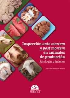 inspeccion ante mortem y post mortem en animales de produccion. patologias y lesiones-9788492569595