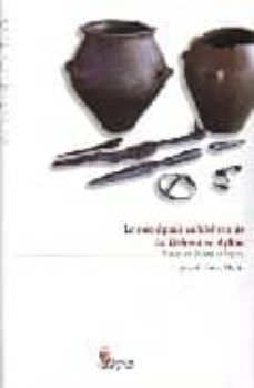 la necropolis celtiberica de la dehesa en ayllon-joaquin barrio martin-9788497183895