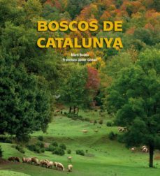 boscos de catalunya (ed. trilingue catalan-castellano-ingles)-9788497857895