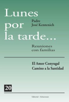 lunes por la tarde 20 (ebook)-jose kentenich-9789567598595