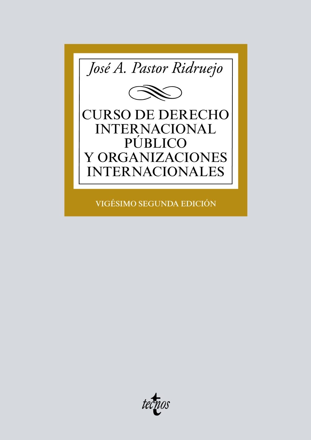 Curso De Derecho Internacional Publico Y Organizaciones Internacionales (22ª Ed.) por Jose Antonio Pastor Ridruejo