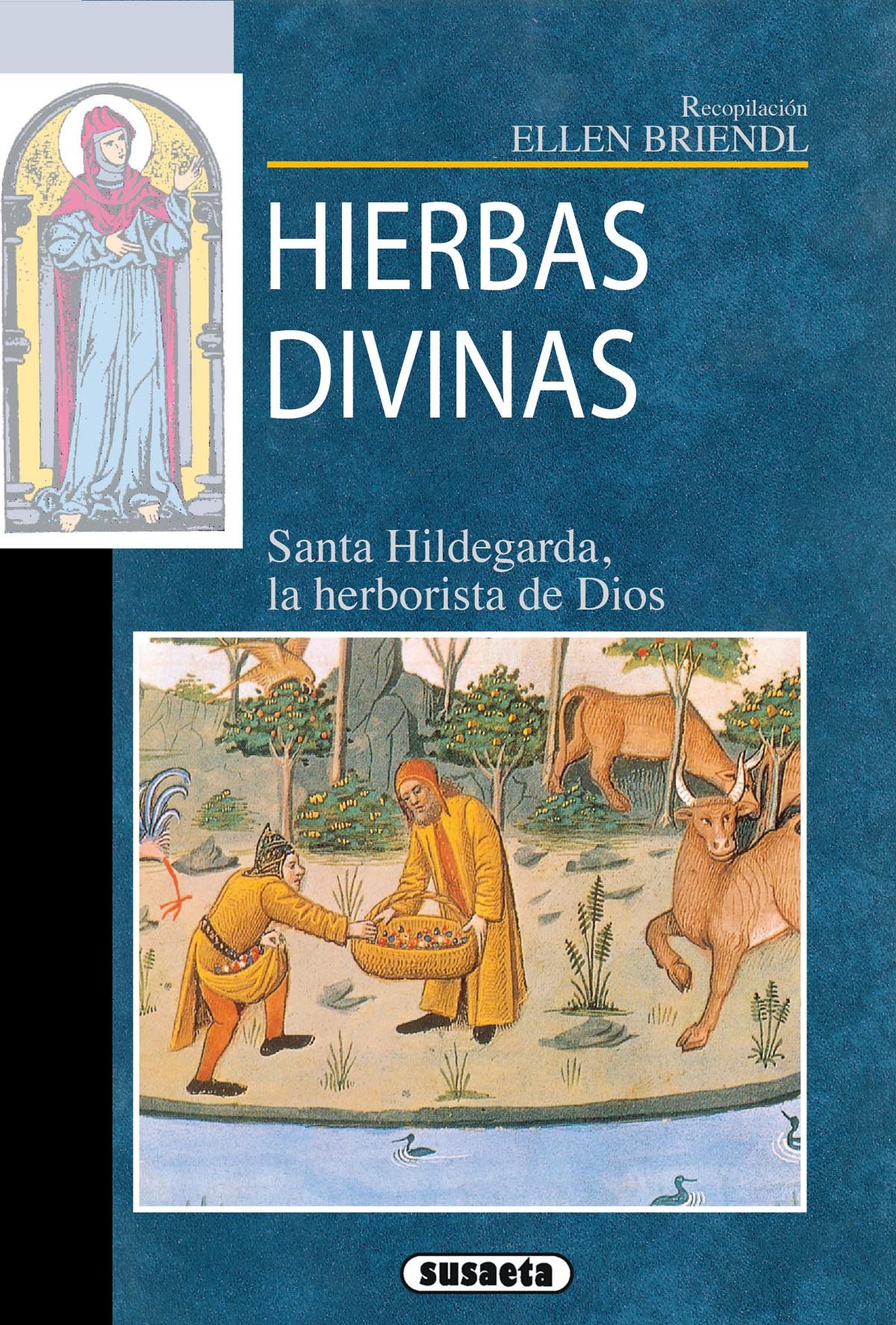 HIERBAS DIVINAS DE SANTA HILDEGARDA EBOOK | HILDEGARDA DE ...
