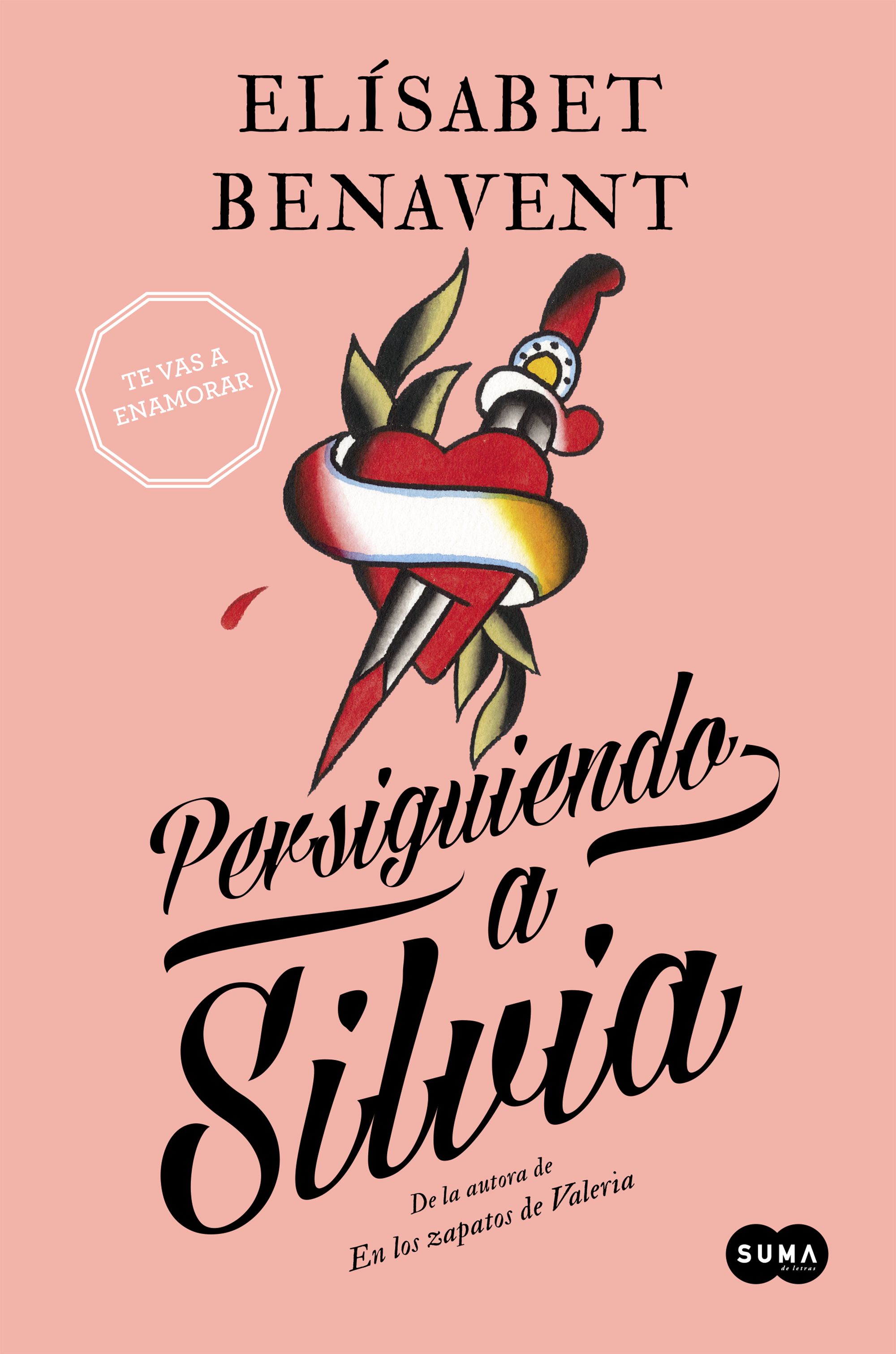 Persiguiendo A Silvia (saga Silvia 1) por Elisabet Benavent