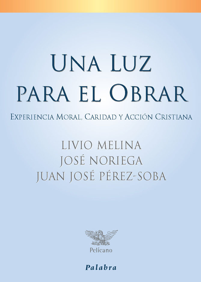 Una Luz Para El Obrar : Experiencia Moral, Caridad Y Accion Crist Iana por Livio Melina;
Jose Noriega