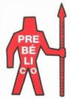 Prebélicos: césar fernández árias 978-8461222605 EPUB PDF