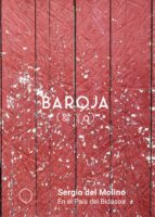 en el pais del bidasoa-sergio del molino-9788494772955 en el pais del bidasoa-sergio del molino-9788494772955