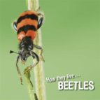 how they live... beetles (ebook)-david withrington-ivan esenko-9789616978255 how they live... beetles (ebook)-david withrington-ivan esenko-9789616978255