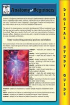anatomy for beginners ( blokehead easy study guide) (ebook)-9786050387285 anatomy for beginners ( blokehead easy study guide) (ebook)-9786050387285