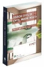 Daños civiles en el matrimonio EPUB PDF por David vargas aravena 978-8481262995