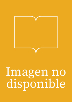 Portada de AL OTRO LADO DEL ESPEJO