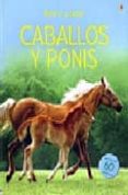 caballos y ponis (libro de pegatinas)-9781409503705 caballos y ponis (libro de pegatinas)-9781409503705