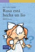 rosa esta hecha un lio-juan carlos chandro-9788420537405 rosa esta hecha un lio-juan carlos chandro-9788420537405
