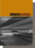 numeros gordos en el proyecto de estructuras-juan carlos arroyo portero-9788493227005 numeros gordos en el proyecto de estructuras-juan carlos arroyo portero-9788493227005