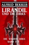 Descargar gratis libros de ipod LIRANDIL UND DIE ORKS: DIE WILDEN ORKS BAND 1-3  (Spanish Edition) 9783753203515