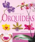 orquideas-9788430563715 orquideas-9788430563715
