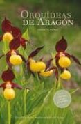 orquideas de aragon-jose luis benito alonso-9788494199615 orquideas de aragon-jose luis benito alonso-9788494199615