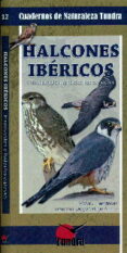 halcones ibericos: introduccion a todas las especies-victor j. hernandez-9788494311215 halcones ibericos: introduccion a todas las especies-victor j. hernandez-9788494311215