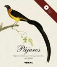 pajaros-9788499281315 pajaros-9788499281315