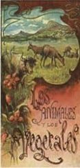los animales y los vegetales-jose fatas bailo-9788460997825 los animales y los vegetales-jose fatas bailo-9788460997825