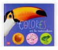 los colores en la naturaleza-laurent quellet-9788467515725 los colores en la naturaleza-laurent quellet-9788467515725
