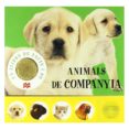 animals de companyia-roger priddy-9788479425425 animals de companyia-roger priddy-9788479425425