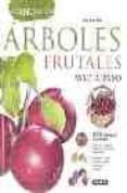 arboles frutales paso a paso-2910010634356 arboles frutales paso a paso-2910010634356