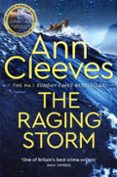 THE RAGING STORM-16118772-otro-formato