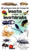 insectos y otros invertebrados: mi primera guia de campo-victor j. hernandez-antonio ojea-9788416702435 insectos y otros invertebrados: mi primera guia de campo-victor j. hernandez-antonio ojea-9788416702435