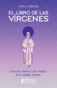 El libro de las vírgenes-13522771-otro-formato