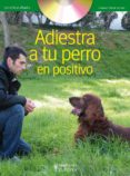 adiestra a tu perro en positivo (incluye dvd)-jaime vidal-9788425519635 adiestra a tu perro en positivo (incluye dvd)-jaime vidal-9788425519635