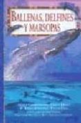 ballenas, delfines y marsopas-9788428211635 ballenas, delfines y marsopas-9788428211635