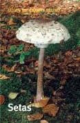 setas (guias de campo blume) (6ª ed.)-9788480764735 setas (guias de campo blume) (6ª ed.)-9788480764735