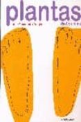 plantas de los pies (el mapa de mi cuerpo, 2)-genichiro yagyu-9788493598235 plantas de los pies (el mapa de mi cuerpo, 2)-genichiro yagyu-9788493598235