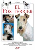 El fox terrier-9197662-otro-formato