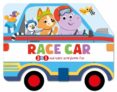 RACE CAR-13096790-otro-formato