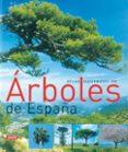 atlas ilustrado de los arboles de españa-9788430558445 atlas ilustrado de los arboles de españa-9788430558445