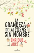 la grandeza de las cosas sin nombre-enrique arce-9788491643845 la grandeza de las cosas sin nombre-enrique arce-9788491643845
