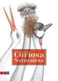 curiosa naturaleza-florence guiraud-9788494713545 curiosa naturaleza-florence guiraud-9788494713545