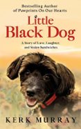 LITTLE BLACK DOG