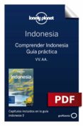 Descarga online de libros de google a pdf INDONESIA 5_10. COMPRENDER Y GUÍA PRÁCTICA de VARIOS in Spanish 9788408220855
