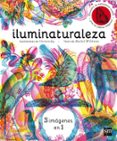 iluminaturaleza-rachel williams-9788467589955 iluminaturaleza-rachel williams-9788467589955