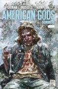 american gods sombras nº 09/09 (ebook)-9788491735755 american gods sombras nº 09/09 (ebook)-9788491735755