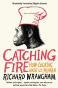 CATCHING FIRE-16568590-otro-formato