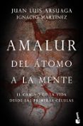 Amalur-9186033-otro-formato